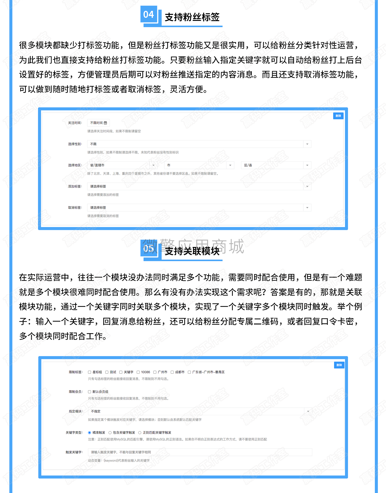 赢码多功能关键字小程序制作，赢码多功能关键字网站系统开发-第3张图片-小程序制作网