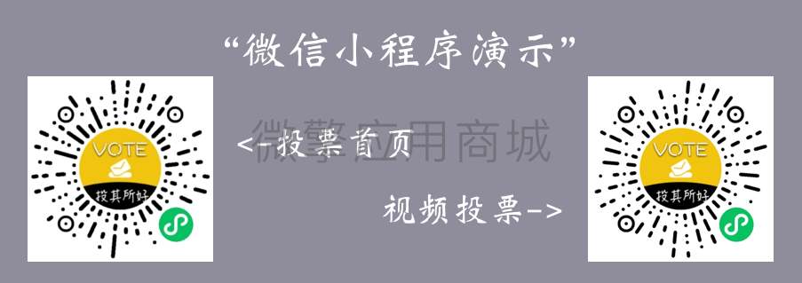 投其所好投票迷你平台小程序制作，投其所好投票迷你平台网站系统开发-第3张图片-小程序制作网