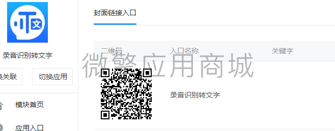 录音识别转文字小程序系统开发制作，录音识别转文字商城小程序公众号网站APP系统功能制作
