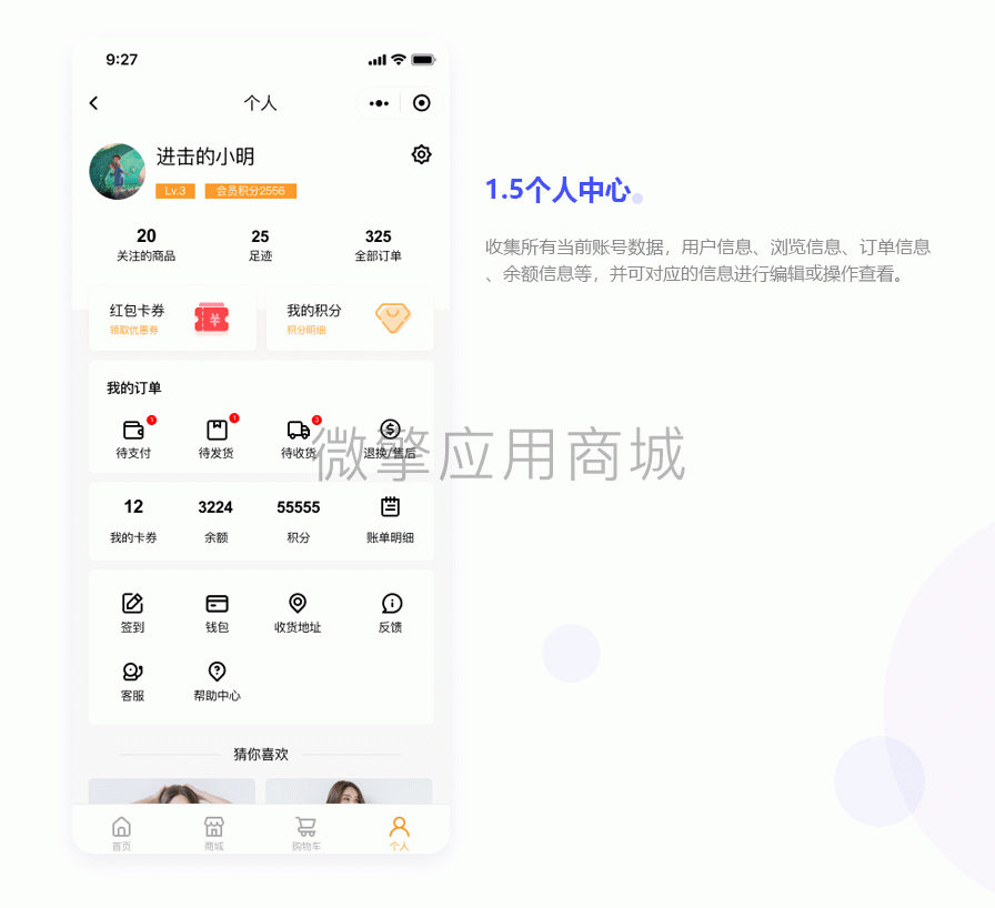 WEITSHOP小程序制作，WEITSHOP网站系统开发-第12张图片-小程序制作网